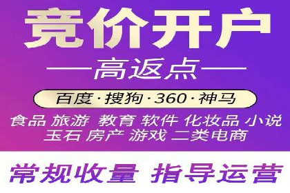 某行业sem代运营推广公司成功案例分析